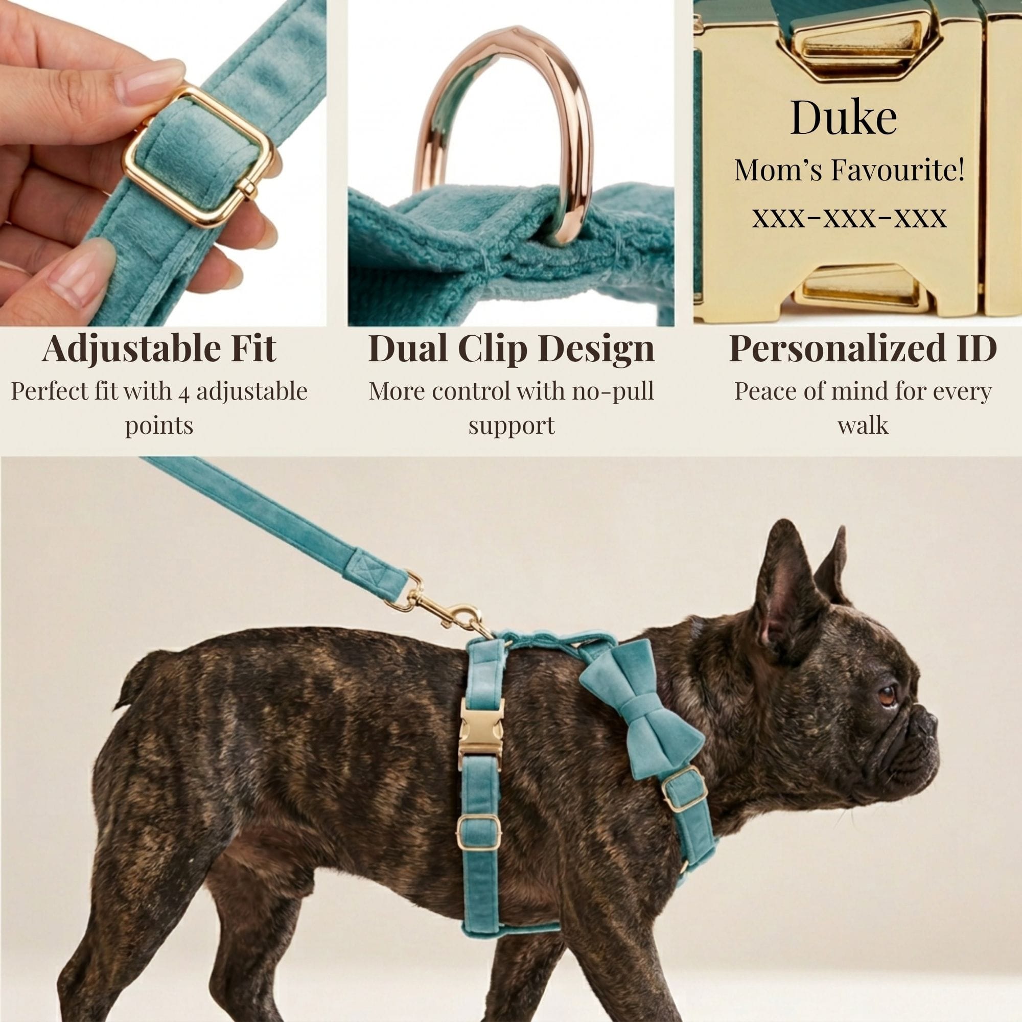 D&D Paws  Turquoise Stone Velvet Set