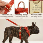 D&D Paws  Red Velvet Set