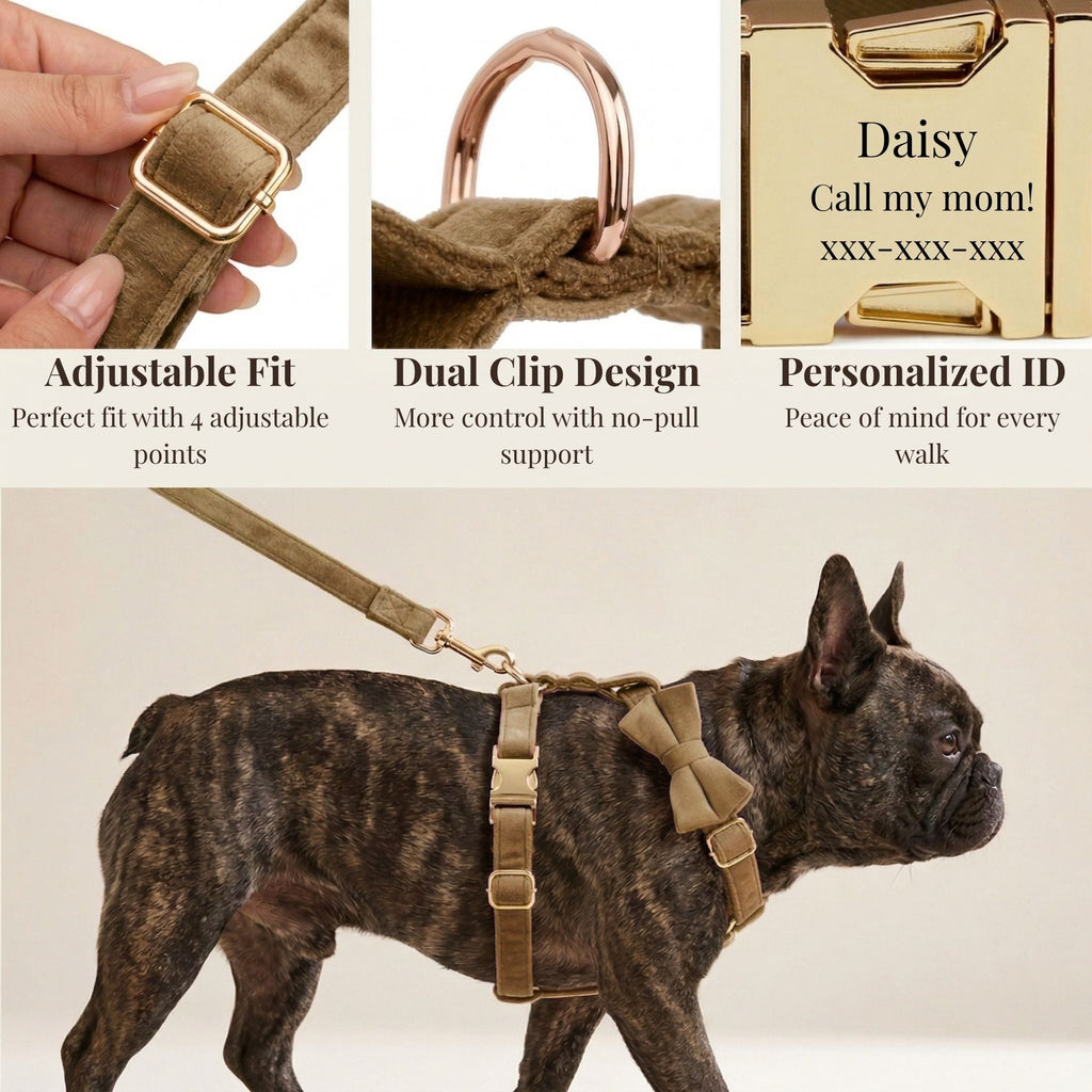 D&D Paws  Shallow Khaki Velvet Set