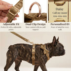 D&D Paws  Shallow Khaki Velvet Set