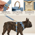 D&D Paws  Blue Denim Set