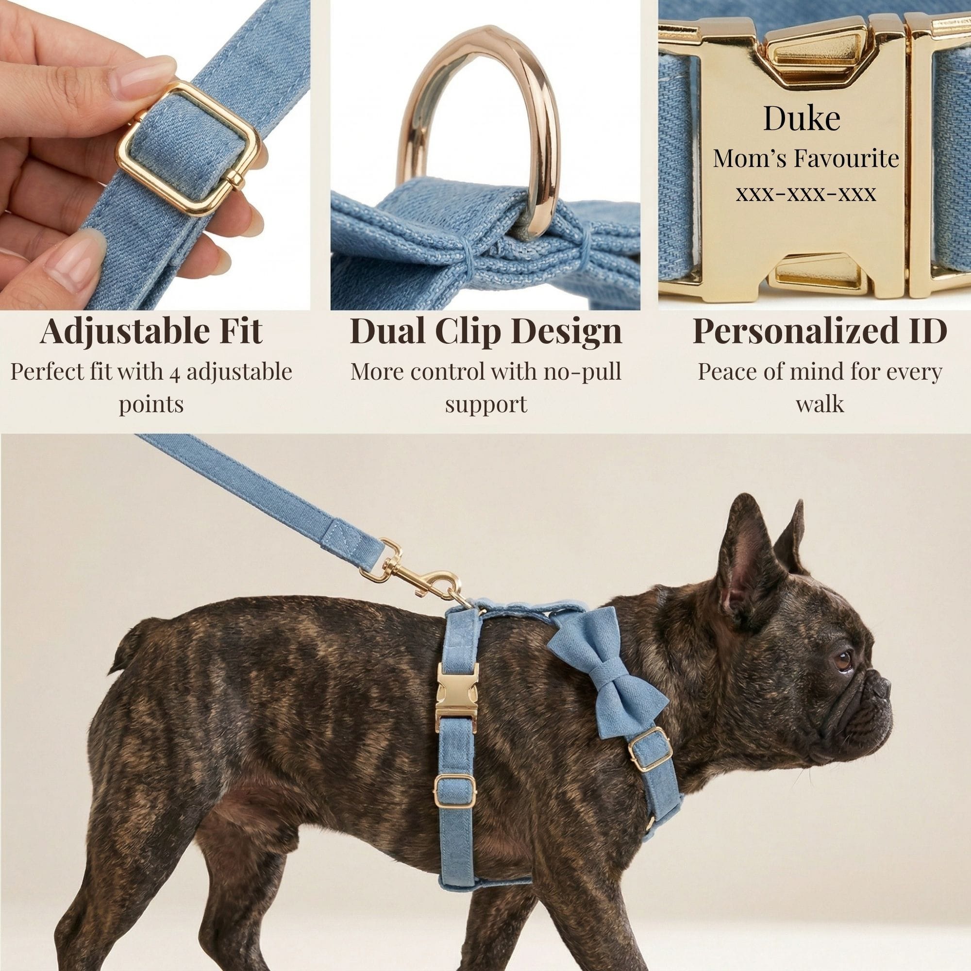 D&D Paws  Blue Denim Set