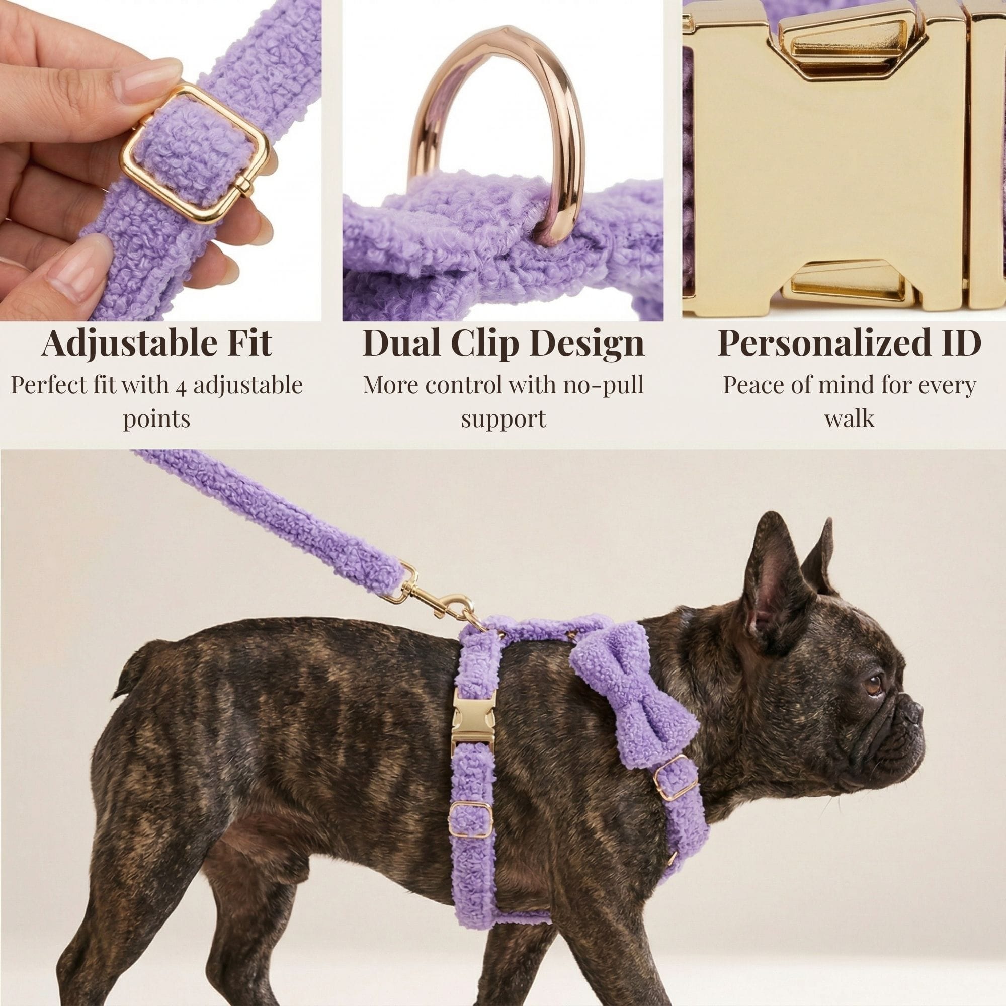 D&D Paws  Teddy Purple Set