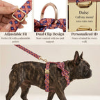 DDPaws  America Flag Print Set