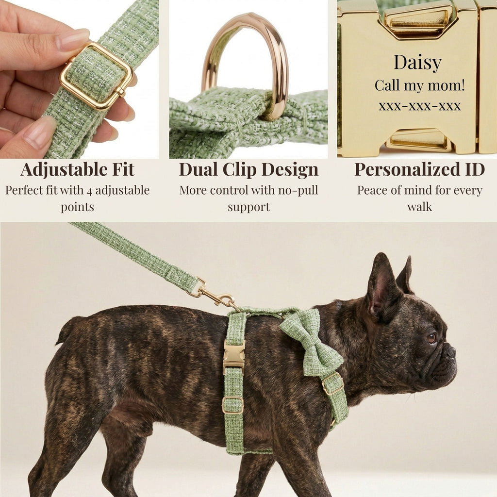DDPaws  Lemon Green Cotton Set