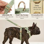 DDPaws  Lemon Green Cotton Set