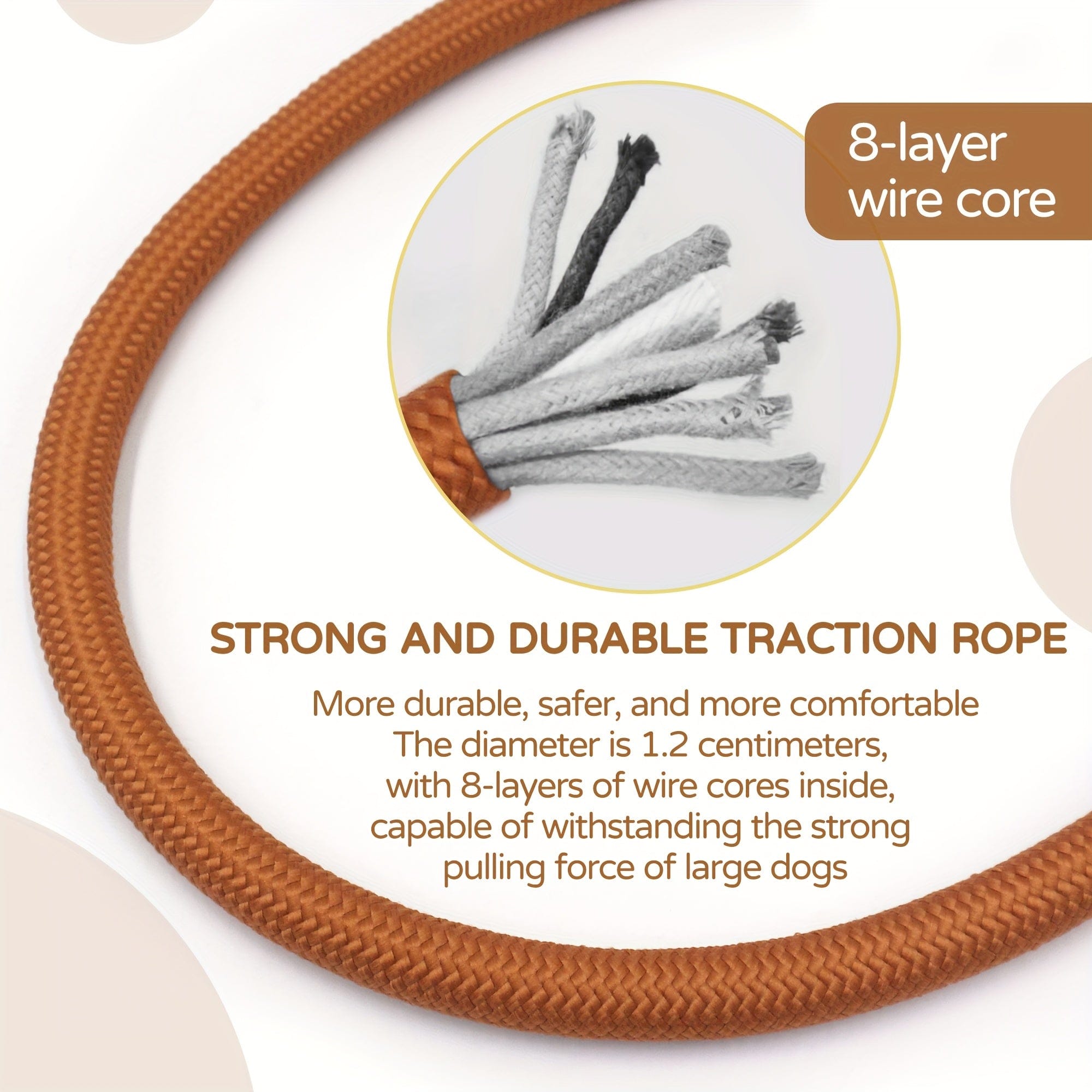 Personalized Teddy Dog Walking Set