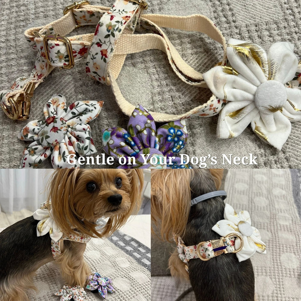 D&D Paws  Ivory Gold Leaf Velvet Set