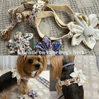 D&D Paws  Ivory Gold Leaf Velvet Set