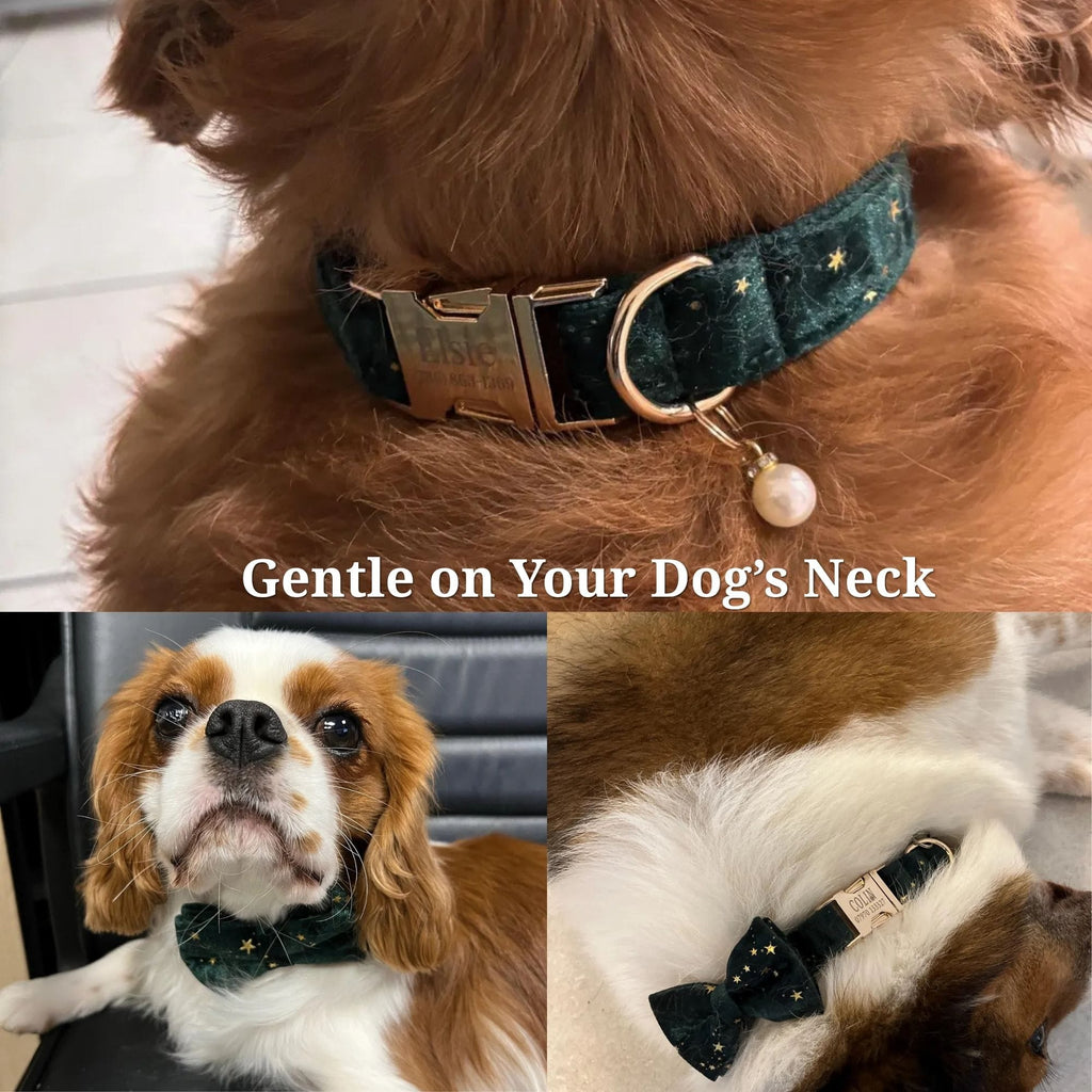 DDPaws  Green Star Velvet Set