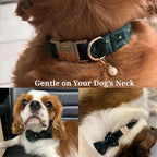 DDPaws  Green Star Velvet Set