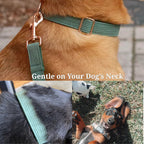 D&D Paws  Dark Green Corduroy Set