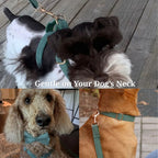 D&D Paws  Dark Green Corduroy Set