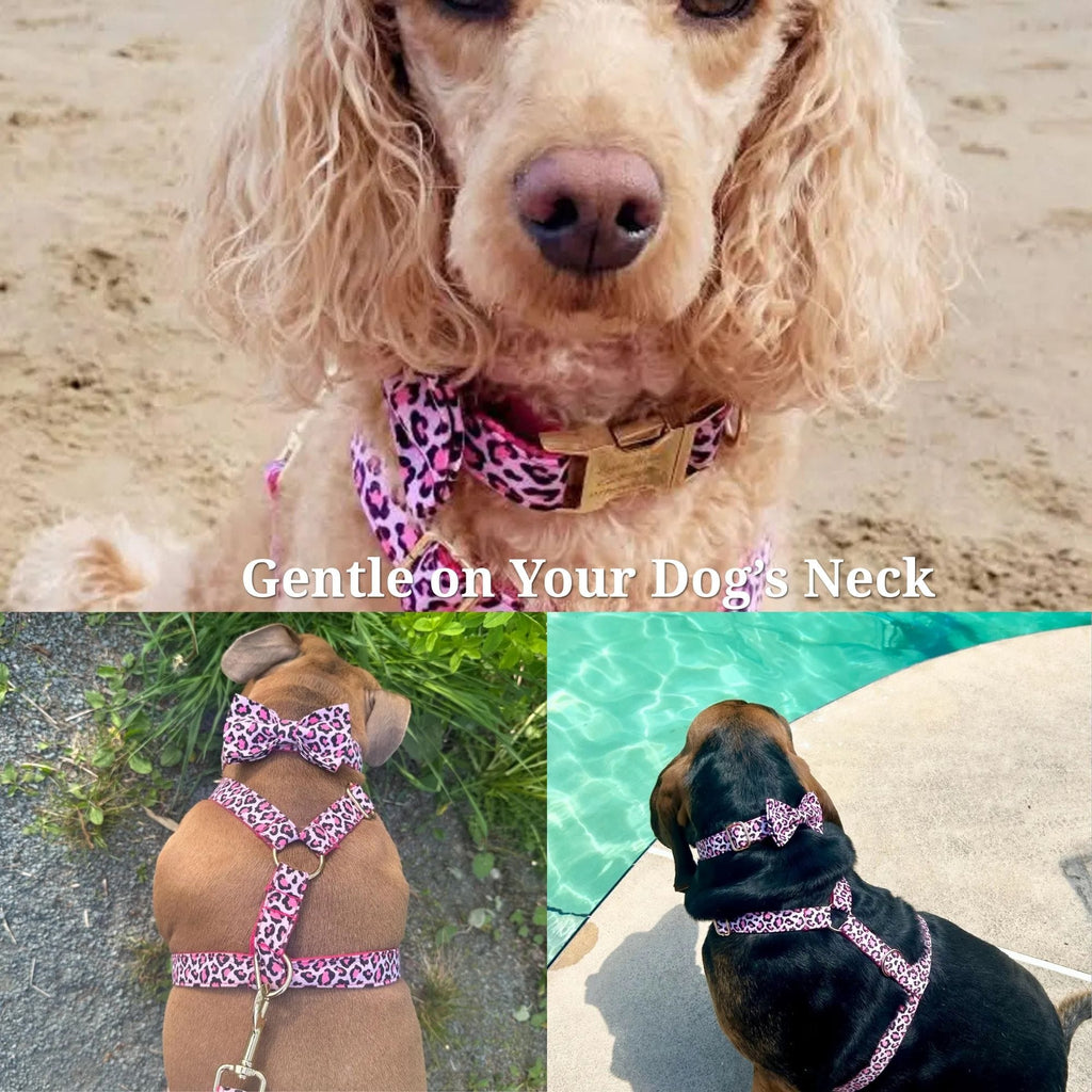 DDPaws  Pink Leopard Velvet Set