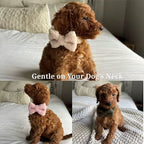 D&D Paws  Light Blue Teddy Set