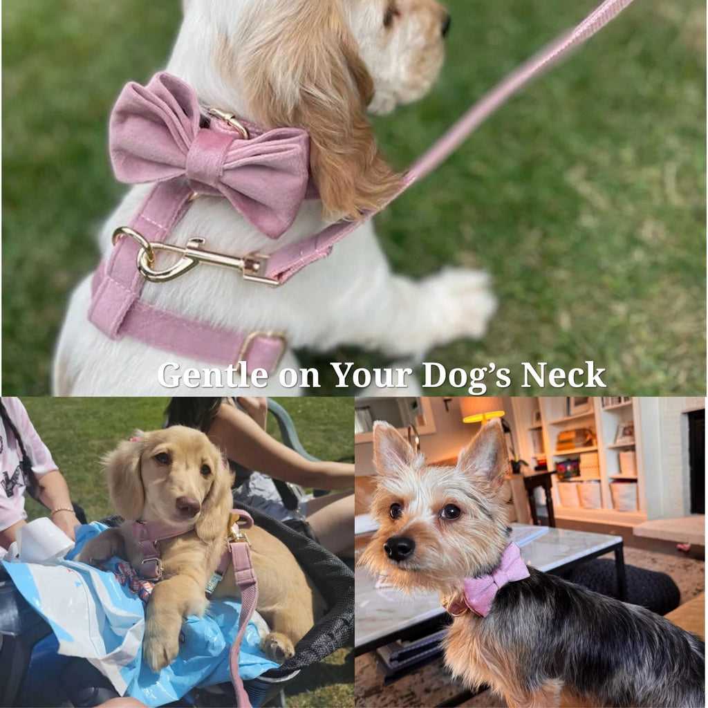 D&D Paws  Dusty Pink Velvet Set