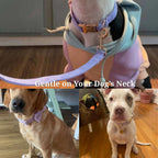 DDPaws  Lavender Mist Corduroy Set