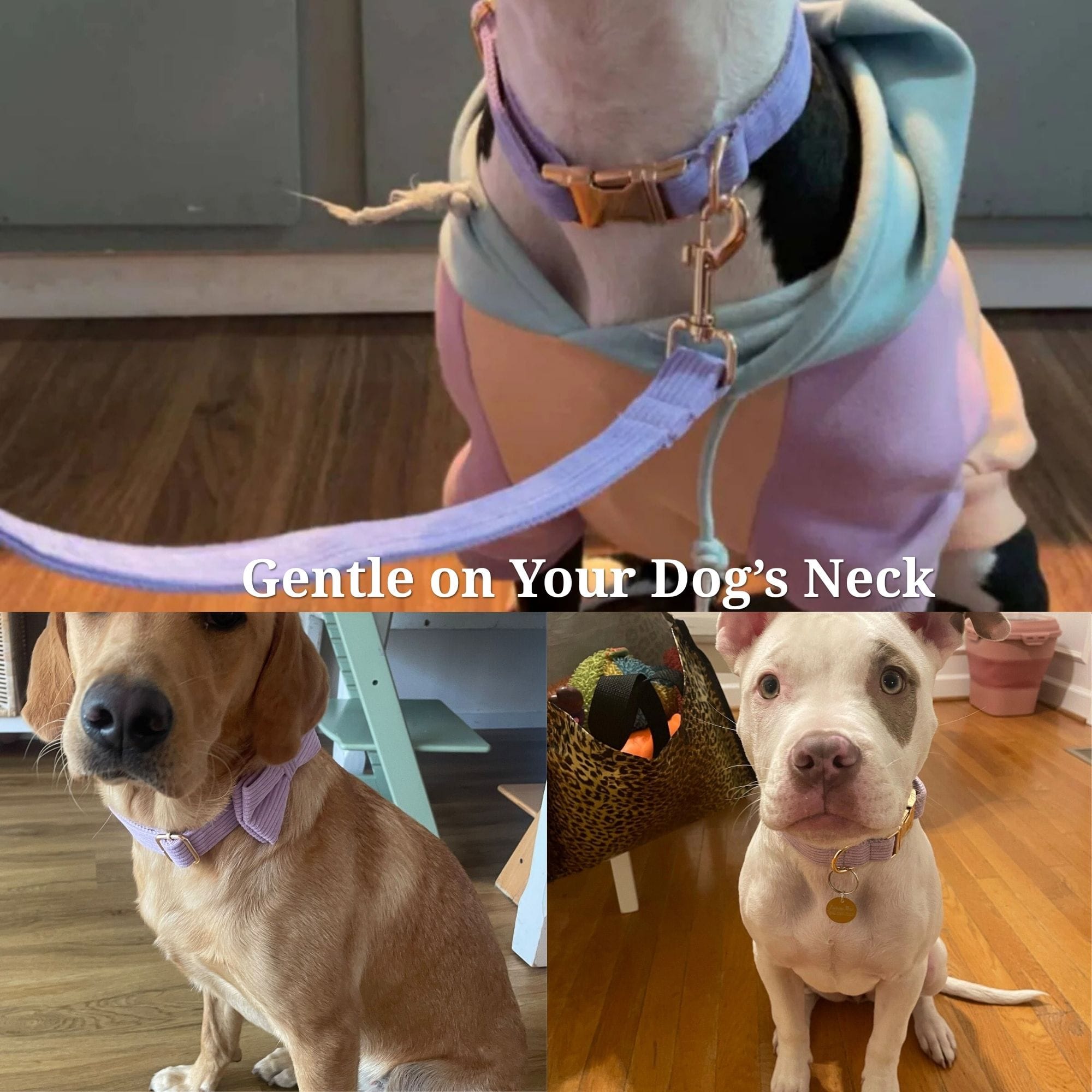 DDPaws  Lavender Mist Corduroy Set
