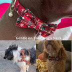 D&D Paws  Christmas Plaid Set