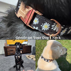 DDPaws  Little Daisy Floral Pattern Set