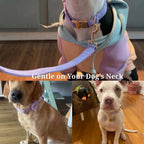 DDPaws  Purple Corduroy Set