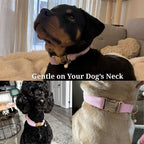 D&D Paws  Pink Corduroy Set