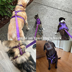 D&D Paws  Velvet Purple Set