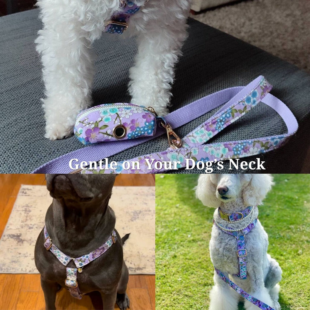 D&D Paws  Lilac Meadow Floral Set