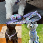 D&D Paws  Lilac Meadow Floral Set