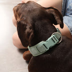 Personalized Light Weight Corduroy Dog Collar Rope Leash Set