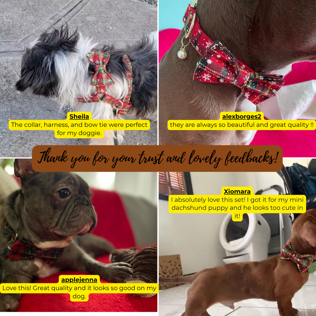 Christmas Personalized Dog Collar, Leash & Harness Set