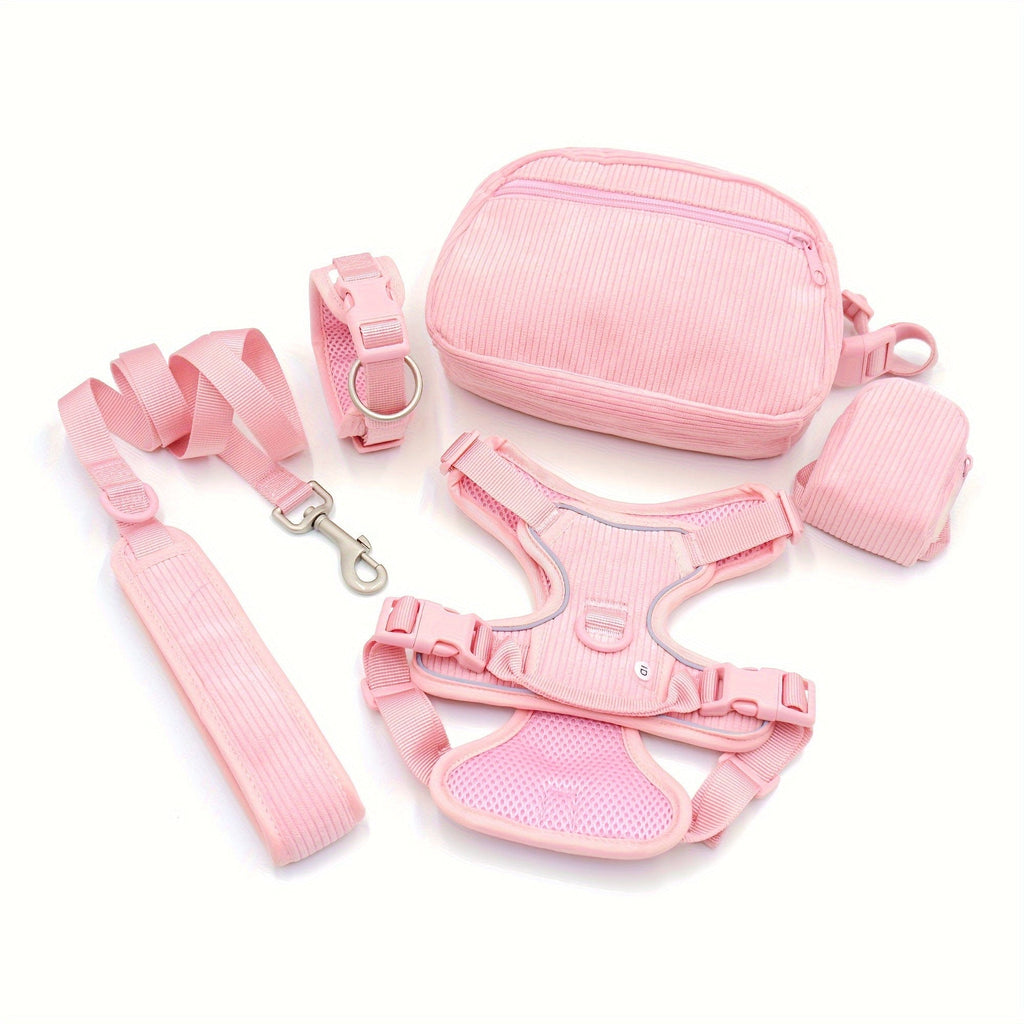 DDPaws  Pink / S Personalized Light Weight Dog Walking Set