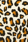 Brown Leopard Velvet Set