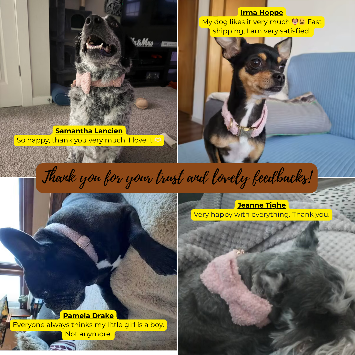 Handmade Teddy Fabric Personalized Dog Collar, Leash & Harness Set