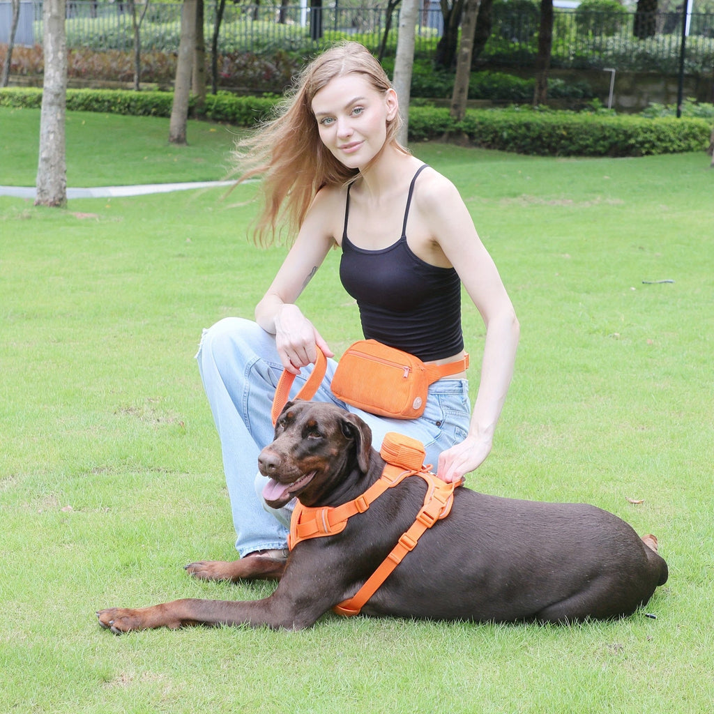 DDPaws  Personalized Light Weight Dog Walking Set
