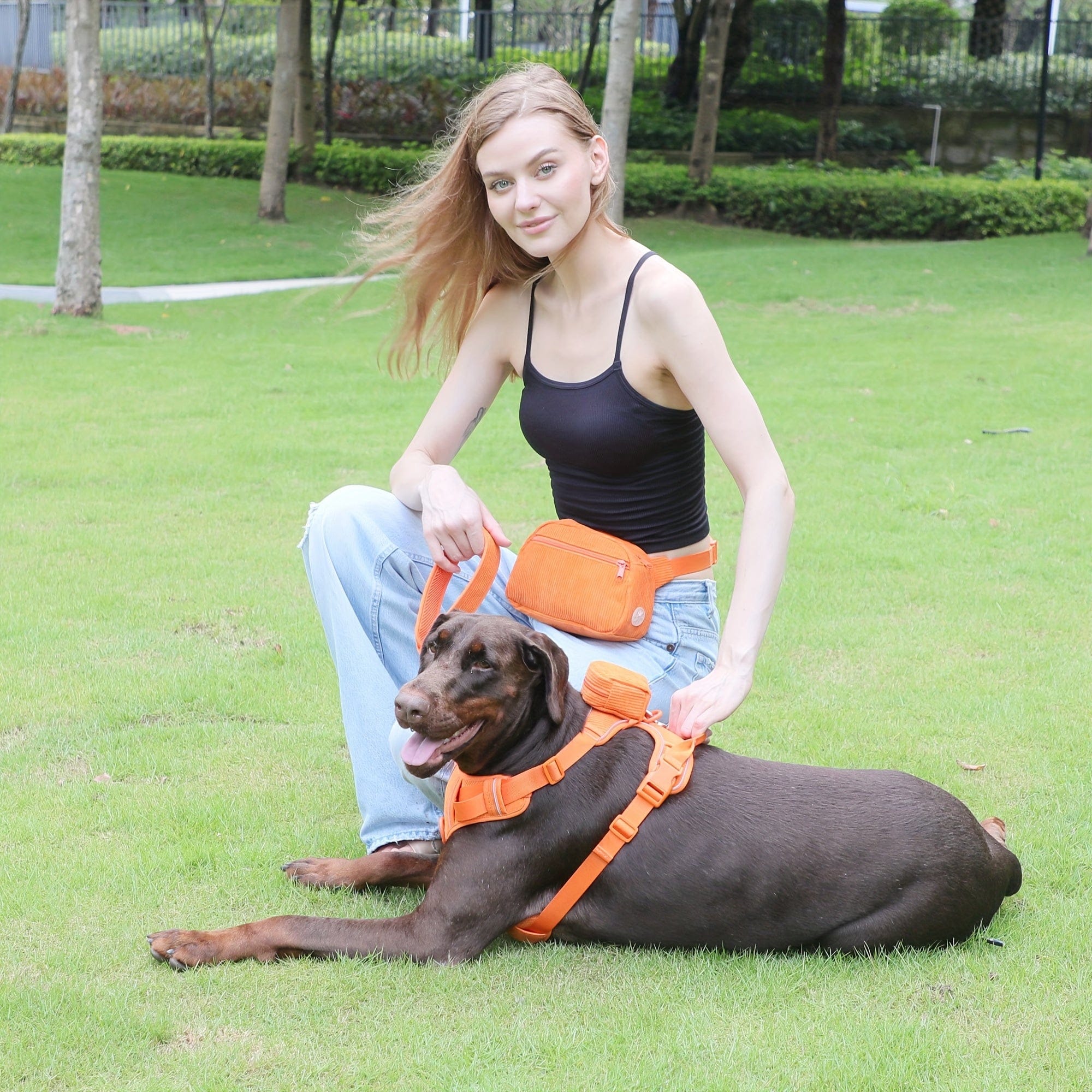 DDPaws  Personalized Light Weight Dog Walking Set