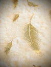 Ivory Gold Leaf Velvet Set