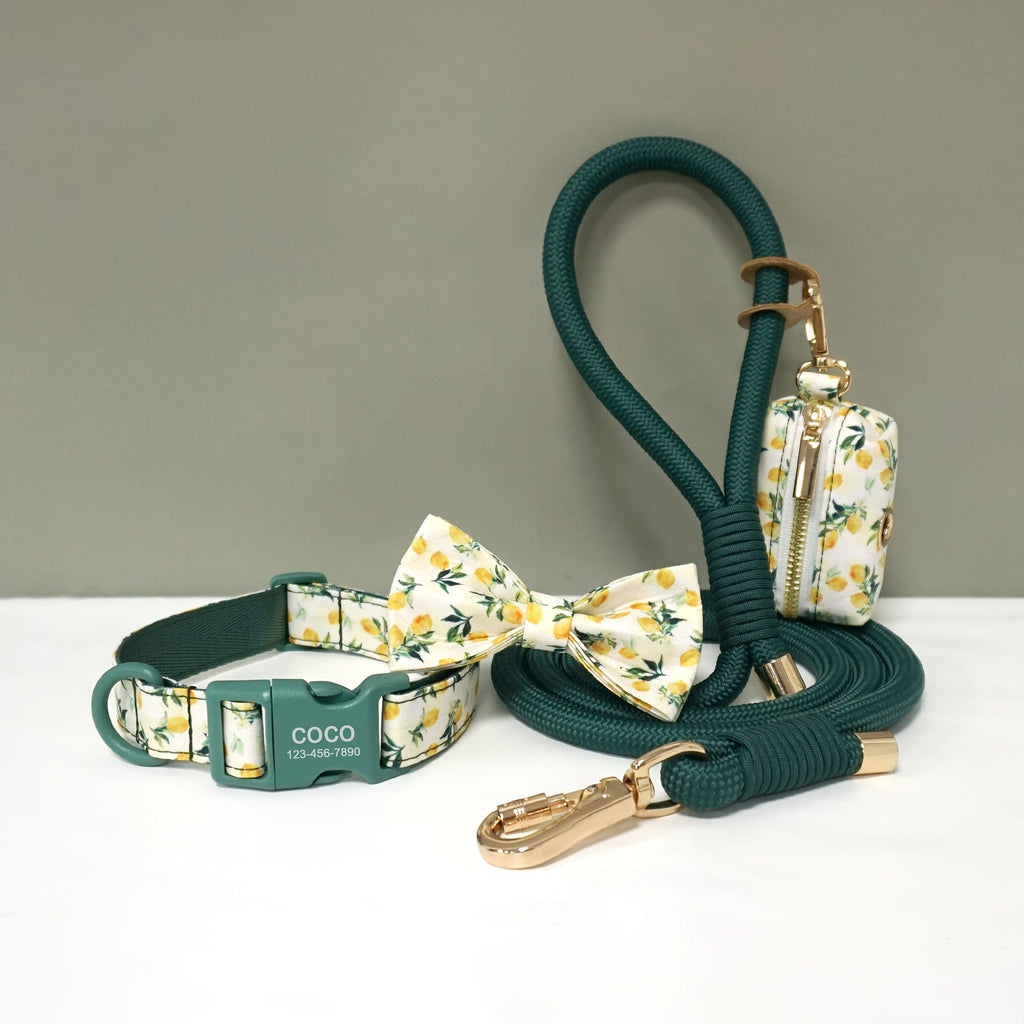 Personalized Light Weight Dog Collar Bowtie Leash Poop Bag Set