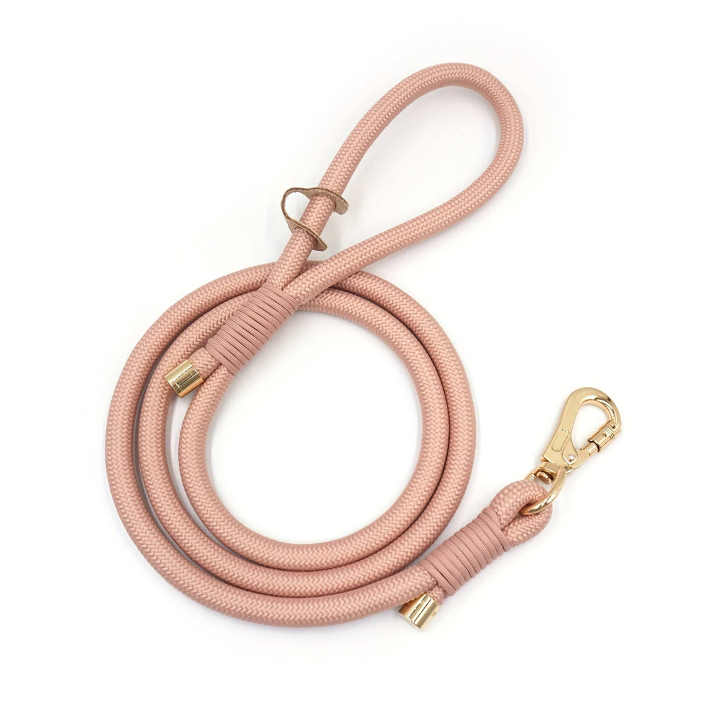 Personalized Teddy Dog Walking Set