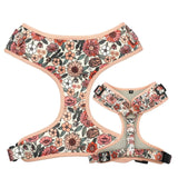 Harness