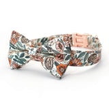 Bowtie