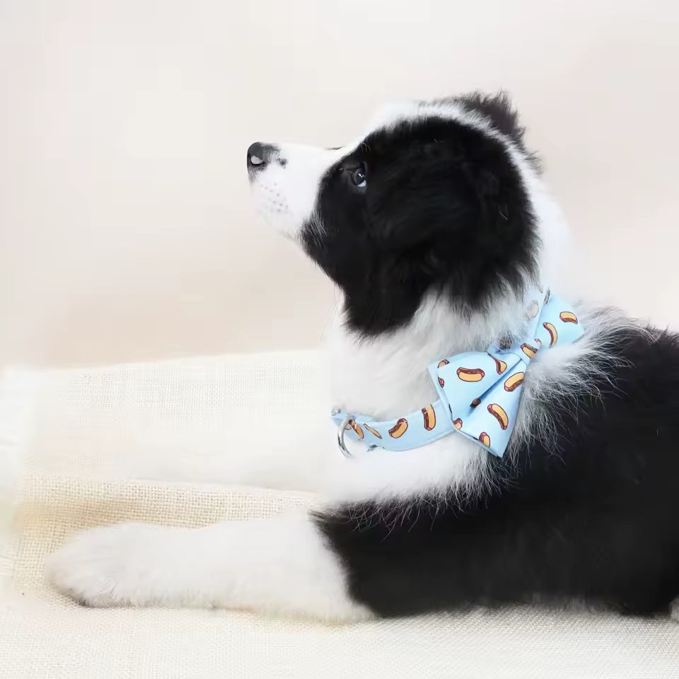 Designed Sausage Dog Vest Set