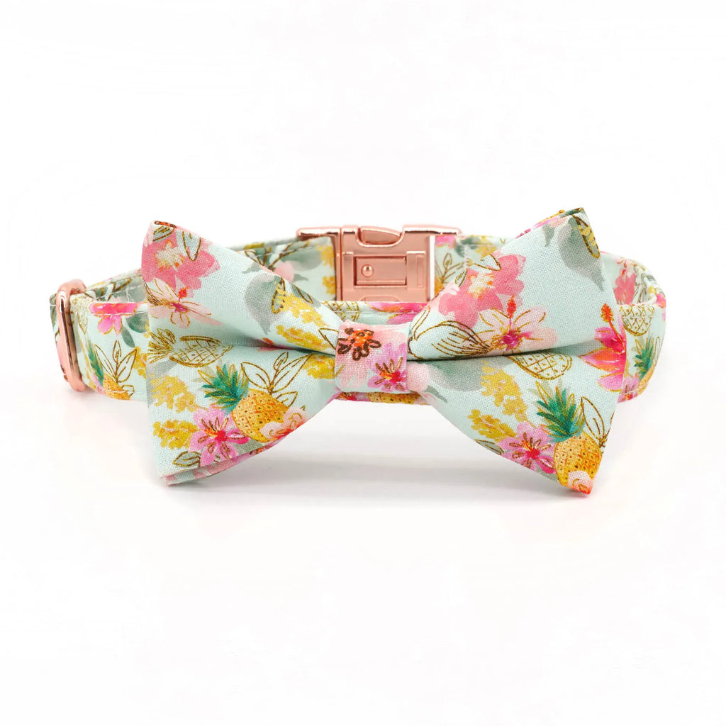 DDPaws  Tropical Pineapple Dog Collar Bowtie with Matching Leash,Engrave Name Telphone No