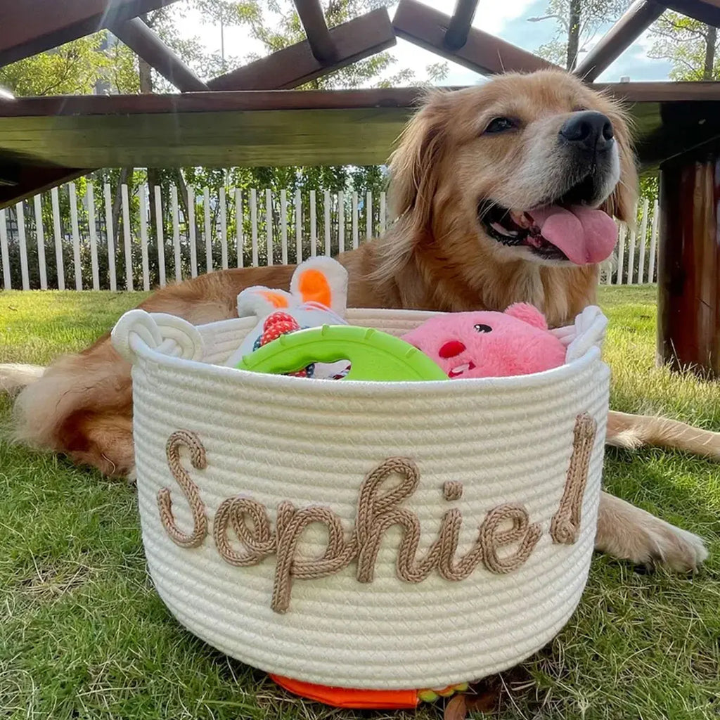 DDPaws  White / M Cute Custom Pet Basket