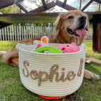 DDPaws  White / M Cute Custom Pet Basket