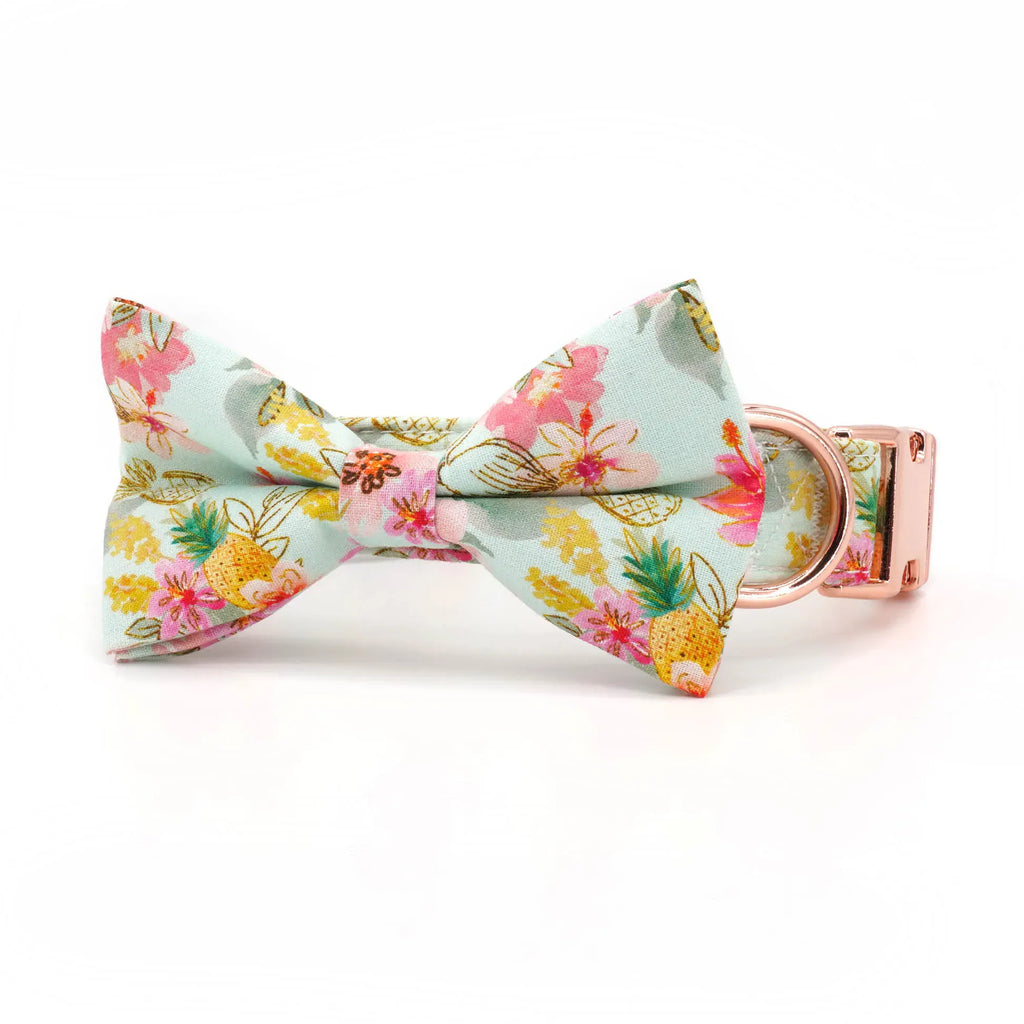 DDPaws  collar bow / XS（old） Tropical Pineapple Dog Collar Bowtie with Matching Leash,Engrave Name Telphone No