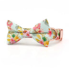 DDPaws  collar bow / XS（old） Tropical Pineapple Dog Collar Bowtie with Matching Leash,Engrave Name Telphone No