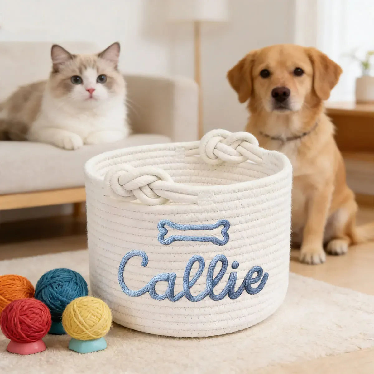 DDPaws  White 3 / M Cute Custom Pet Basket