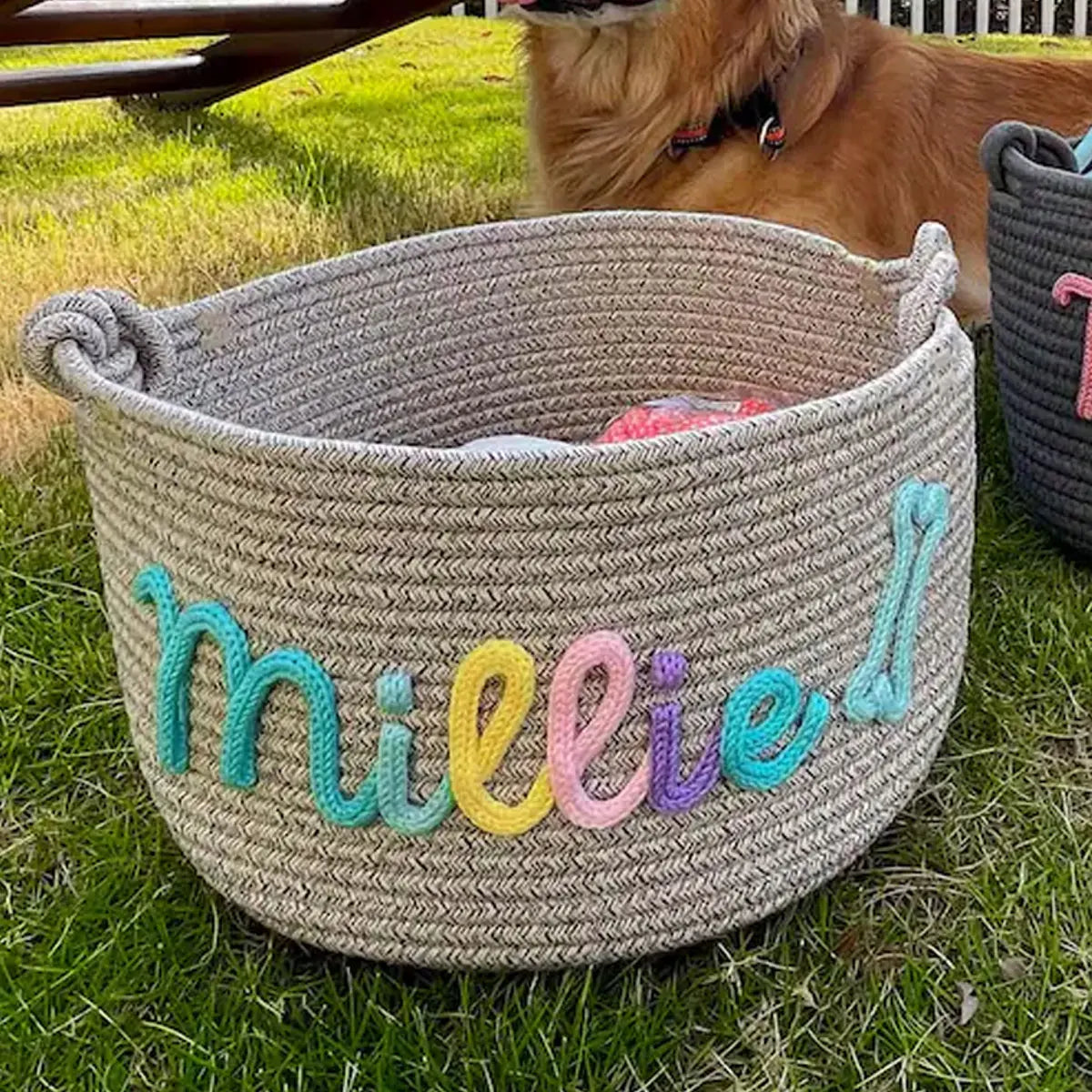 DDPaws  Light Brown / M Cute Custom Pet Basket