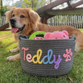 DDPaws  Grey / M Cute Custom Pet Basket